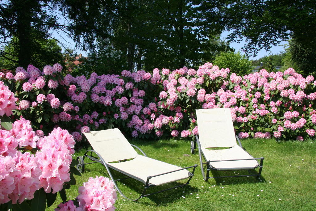 Pension Villa Edelweiss Sellin  Eksteriør bilde