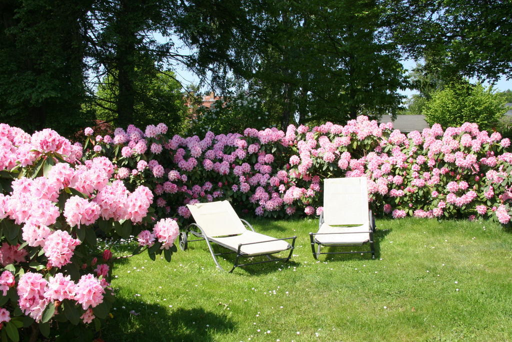 Pension Villa Edelweiss Sellin  Eksteriør bilde